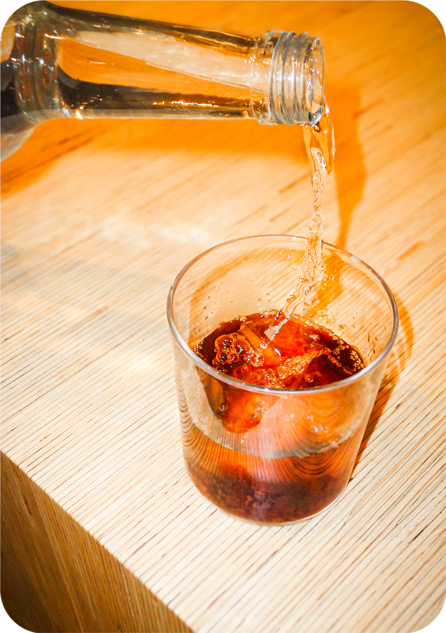 Mundayo Cold Brew Concentrate