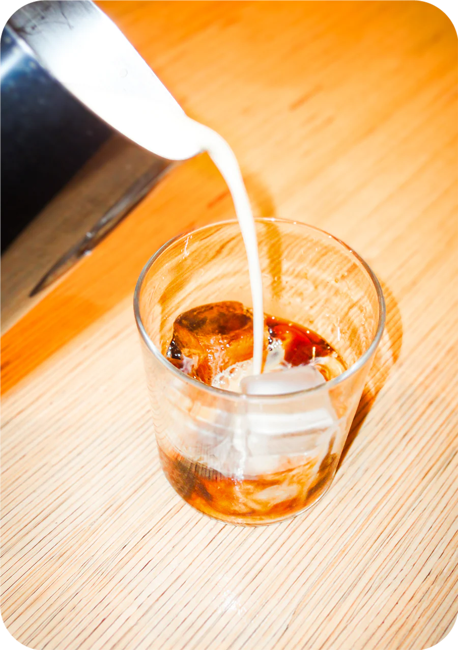 Mundayo Cold Brew Concentrate