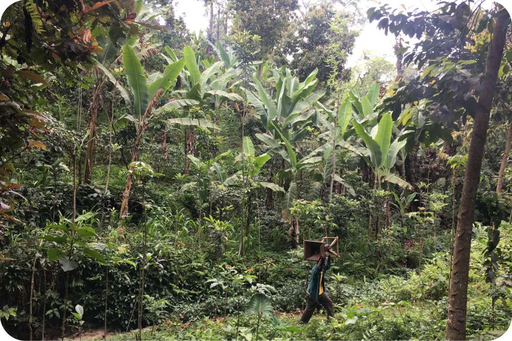 Nachhaltiger Specialty Coffee