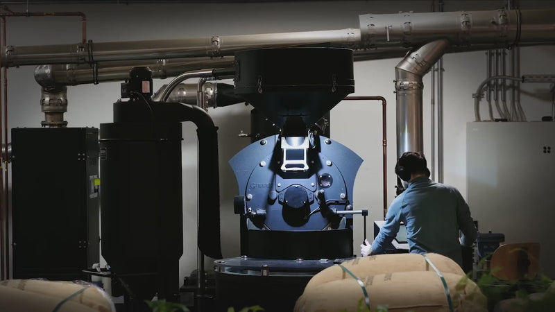 a88a23804d63482b90a7b6e19e8fd285.mp4__PID:0e2e2068-5549-4c1d-ad92-f4221a8eeaa6